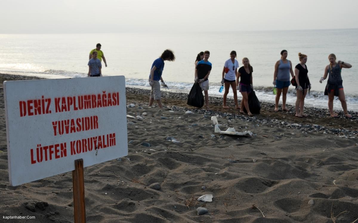 Deniz kaplumbağası üreme alanında temizlik